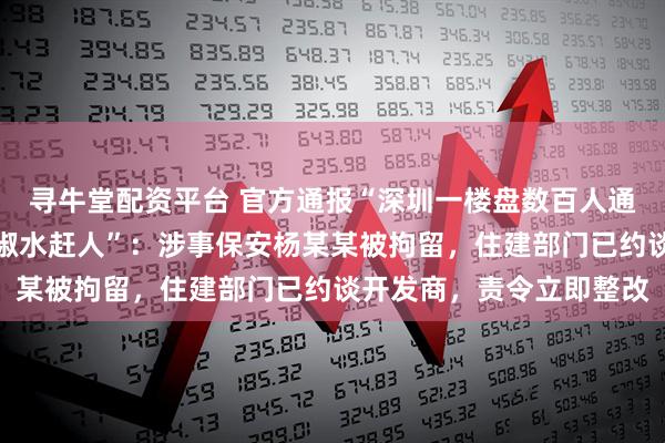 寻牛堂配资平台 官方通报“深圳一楼盘数百人通宵排队抢房，保安喷辣椒水赶人”：涉事保安杨某某被拘留，住建部门已约谈开发商，责令立即整改