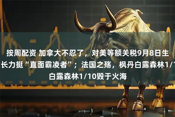 按周配资 加拿大不忍了，对美等额关税9月8日生效，三省省长力挺“直面霸凌者”；法国之殇，枫丹白露森林1/10毁于火海